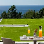Domare - Riviera
